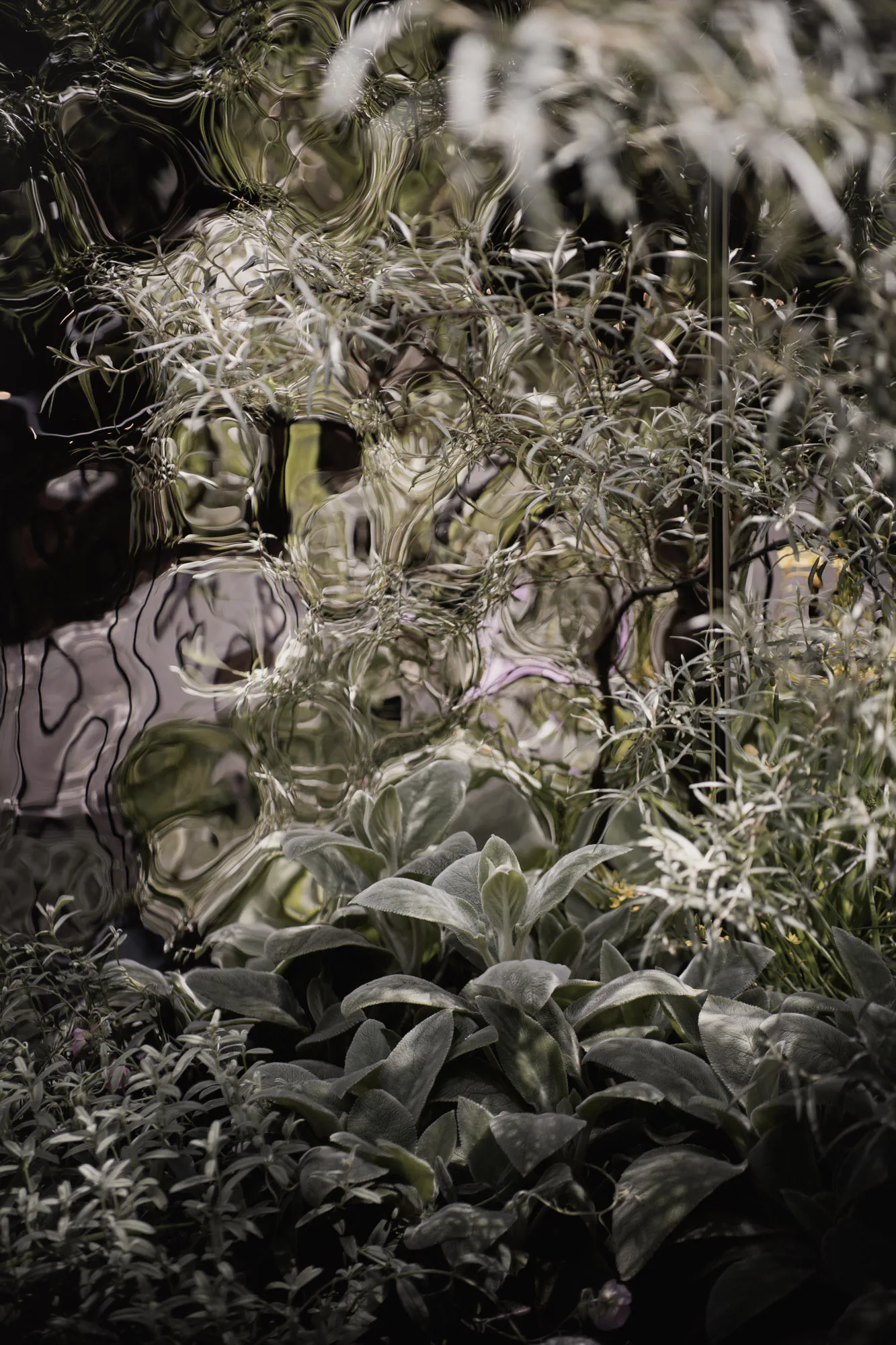 RHS Chelsea Blue Mind Garden