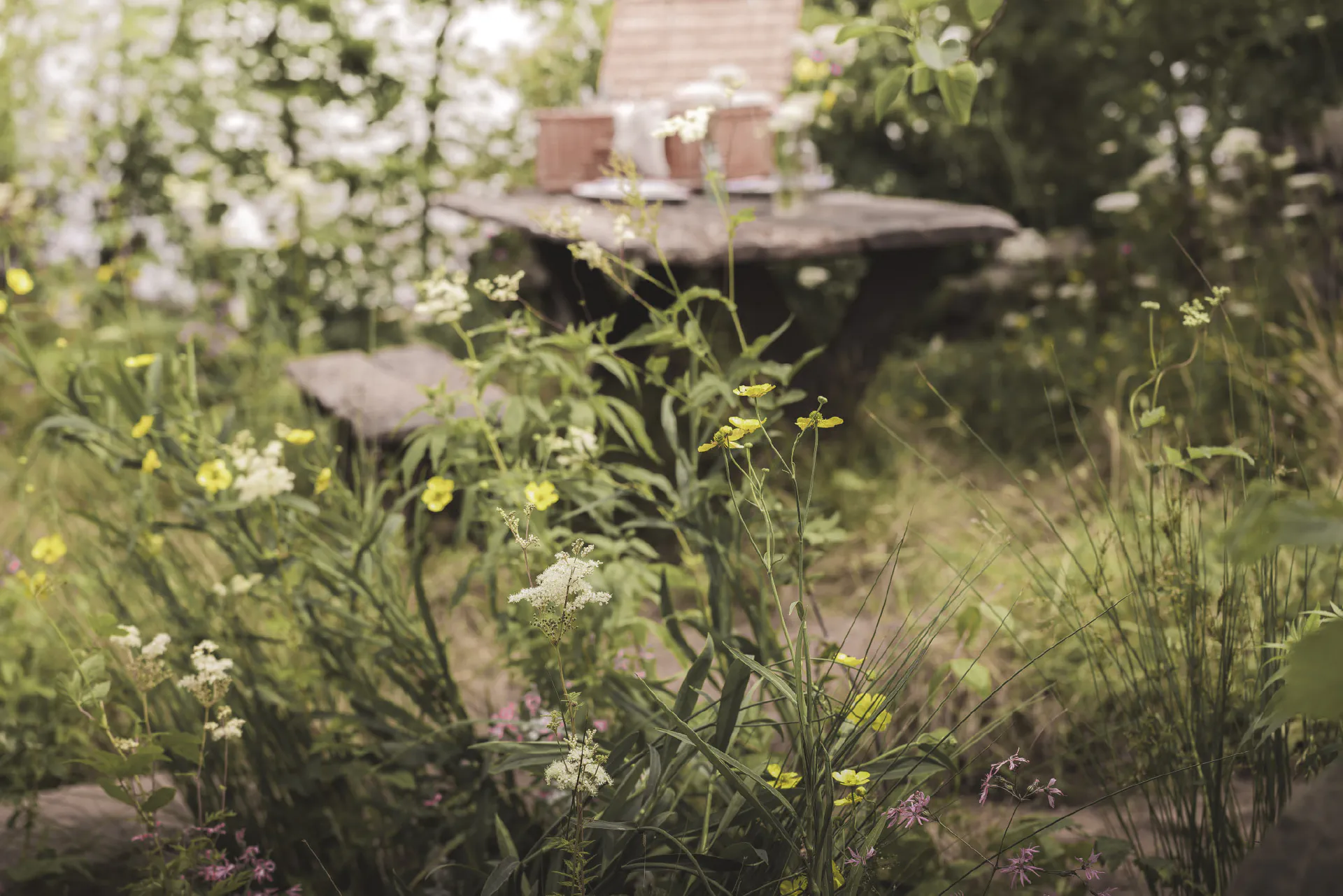 Meadow wildflowers in the foreground, with a rustic timber table and seat beyond