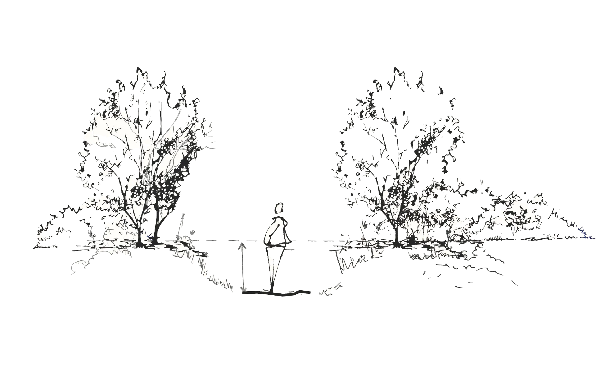 Section sketch of a figure on a sunken path running between trees